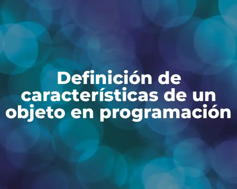 Definición de características de un objeto en programación