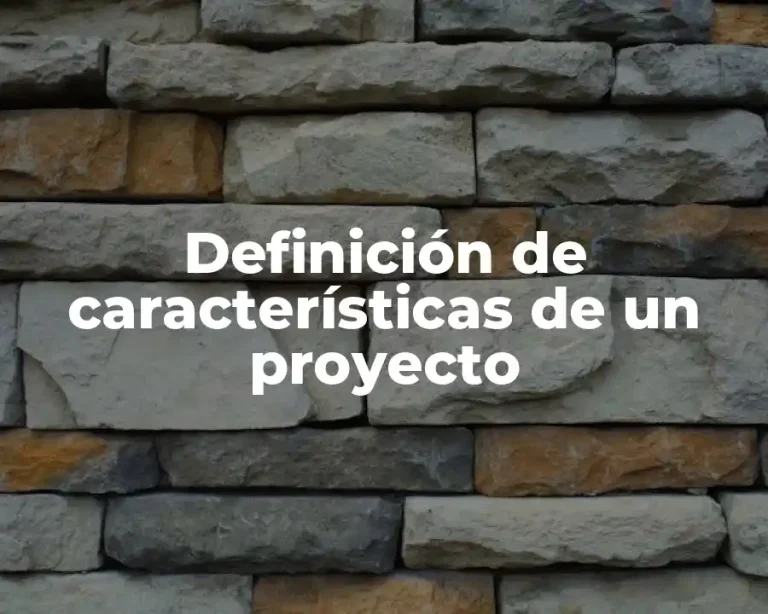 Definición de características de un proyecto