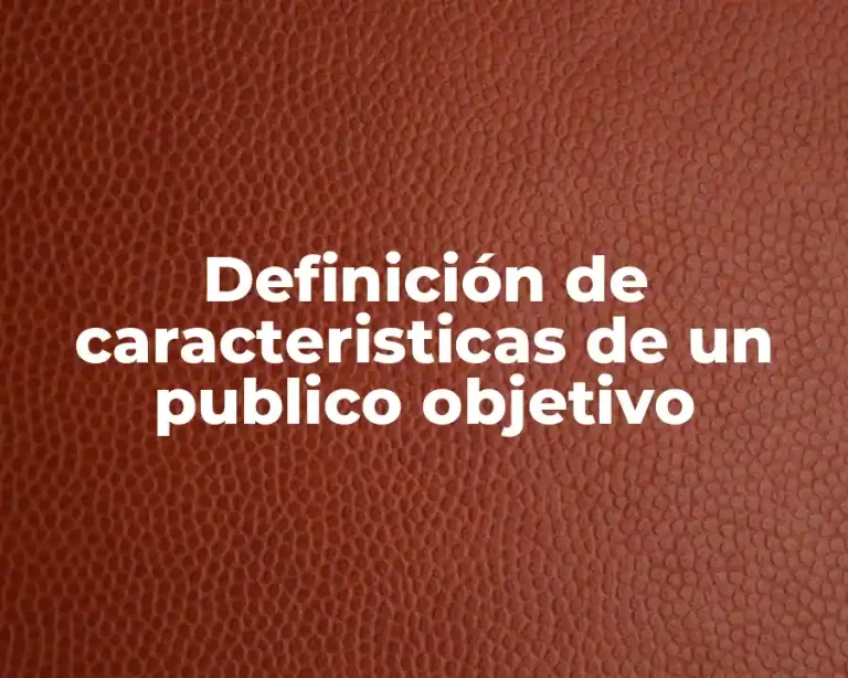 Definición de caracteristicas de un publico objetivo