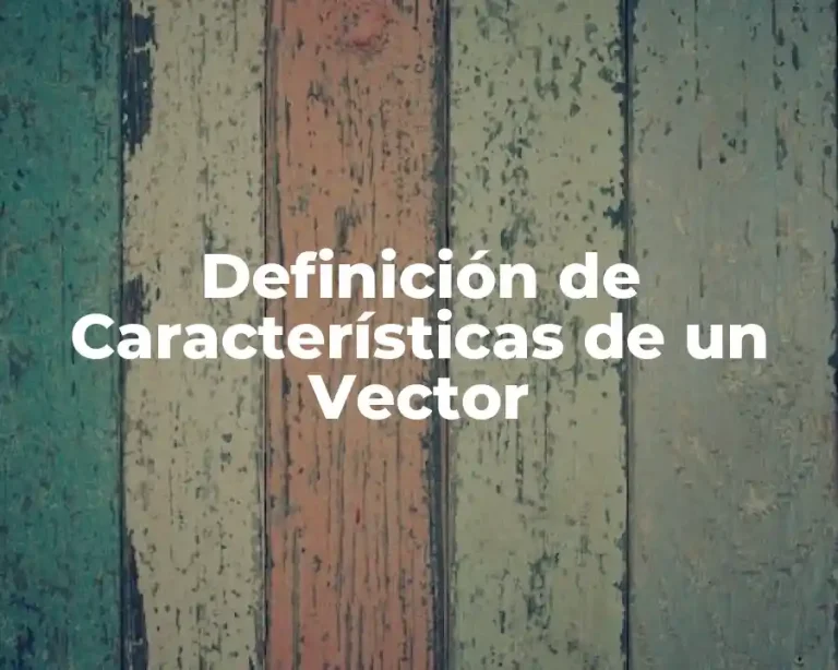 Definición de Características de un Vector