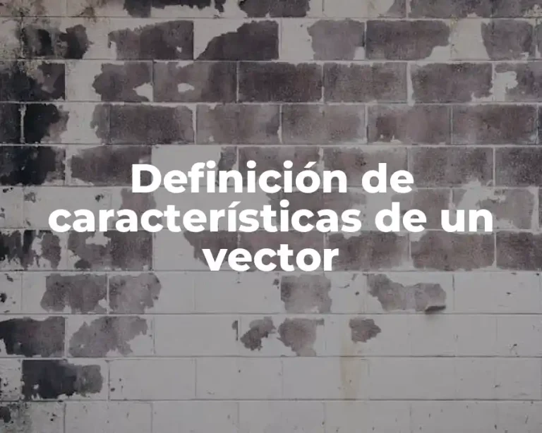 Definición de características de un vector