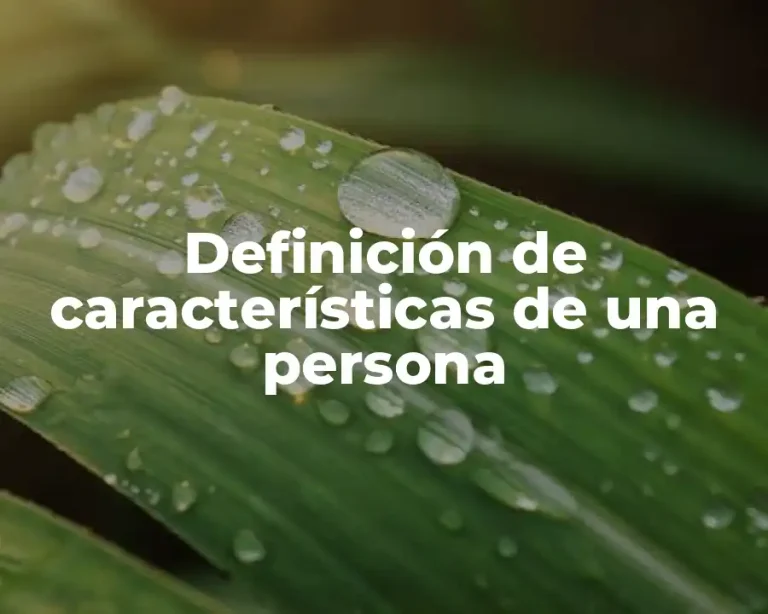 Definición de características de una persona