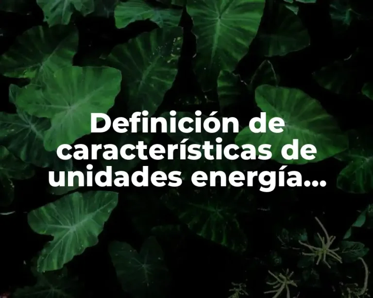 Definición de características de unidades energía mecánica