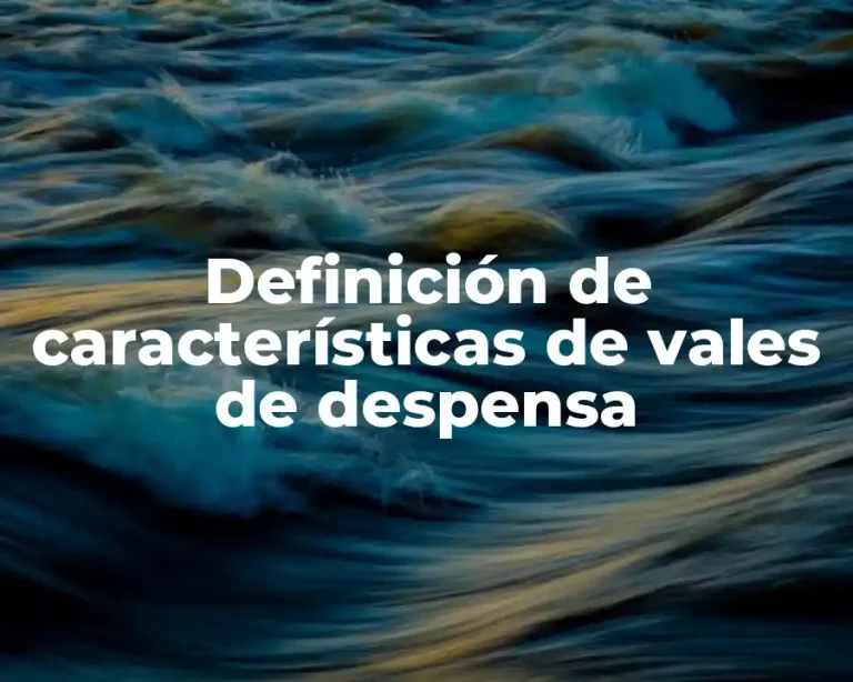Definición de características de vales de despensa
