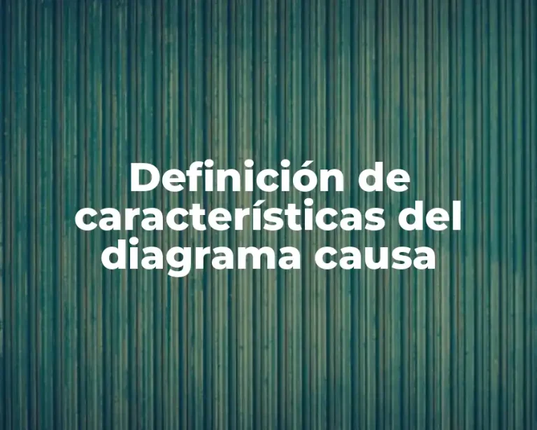Definición de características del diagrama causa
