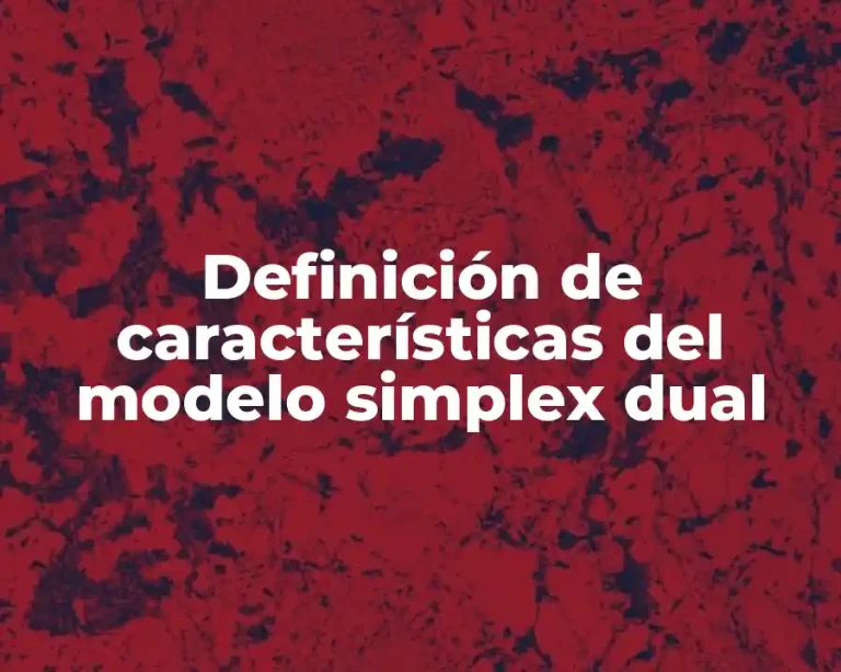 Definición de características del modelo simplex dual