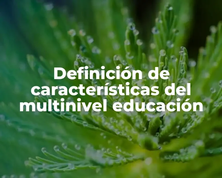 Definición de características del multinivel educación