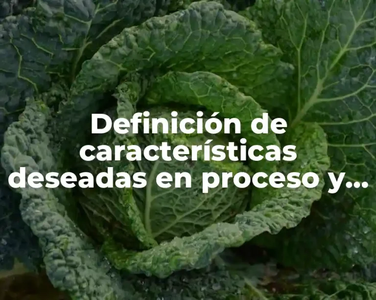 Definición de características deseadas en proceso y producción