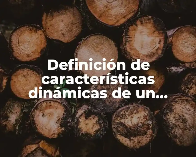 Definición de características dinámicas de un sistema de medicion