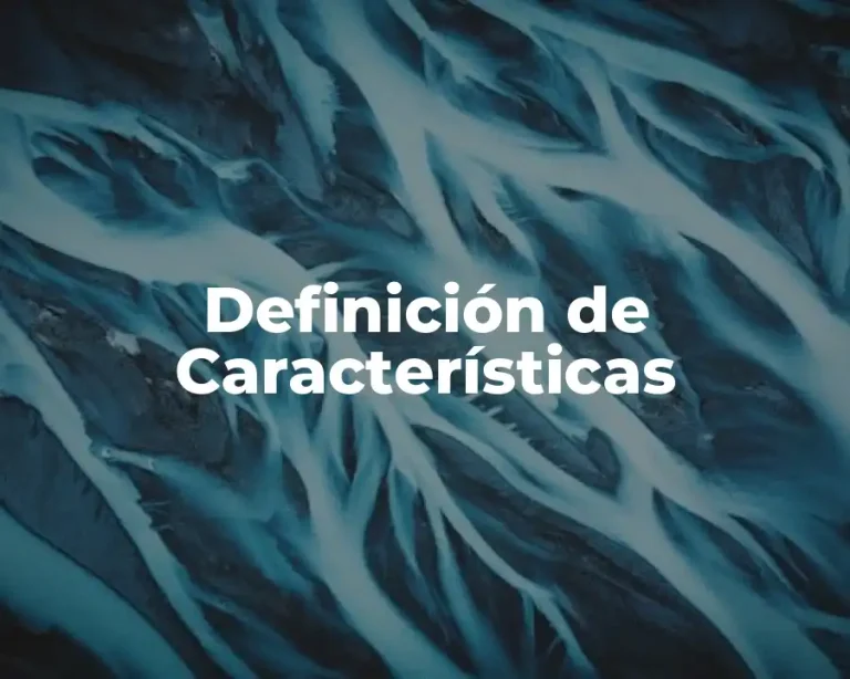 Definición de Características