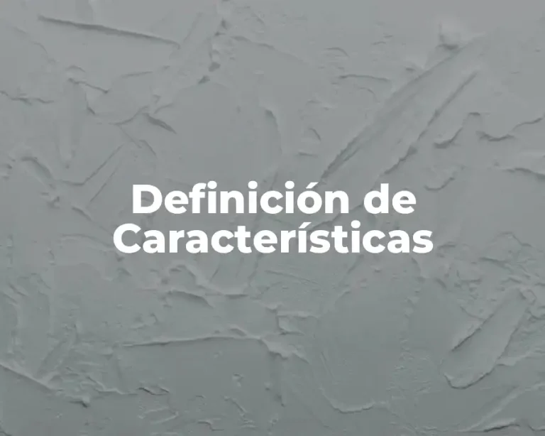 Definición de Características