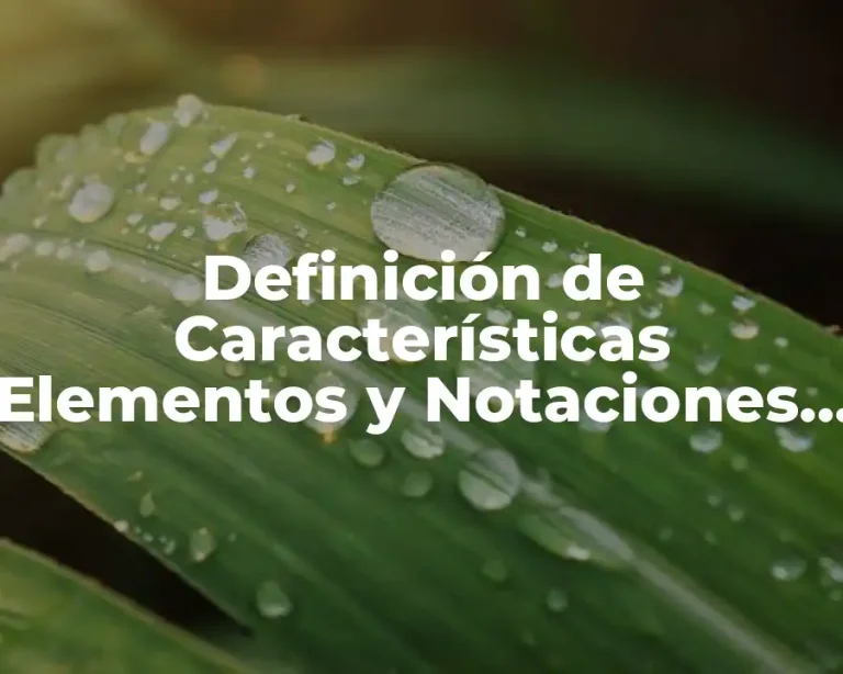 Definición de Características Elementos y Notaciones de los Ángulos