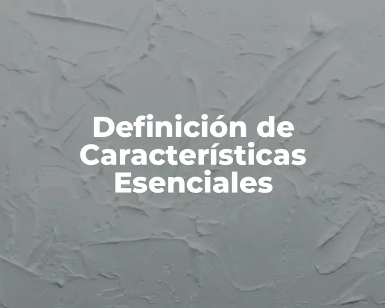 Definición de Características Esenciales