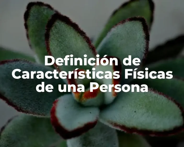 Definición de Características Físicas de una Persona