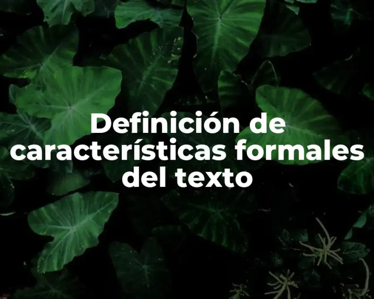 Definición de características formales del texto