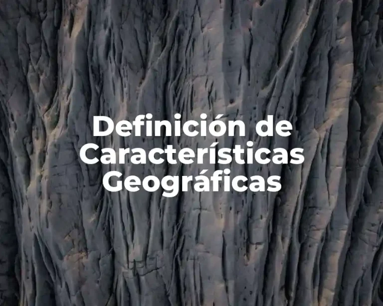Definición de Características Geográficas