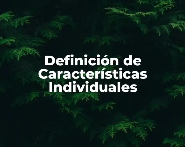 Definición de Características Individuales