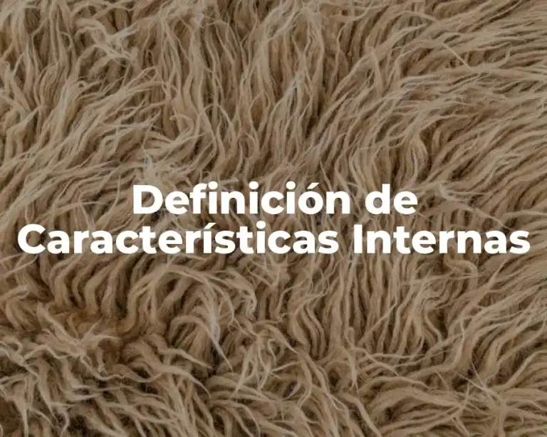 Definición de Características Internas