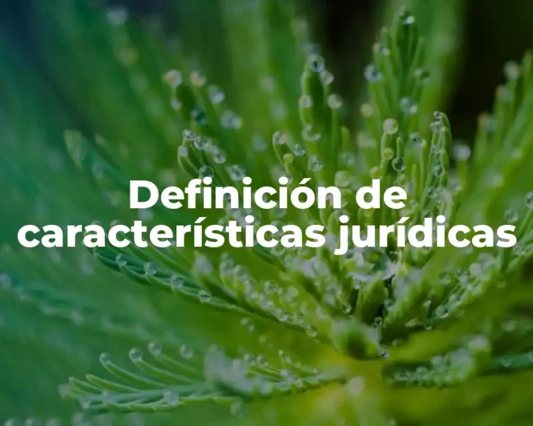 Definición de características jurídicas