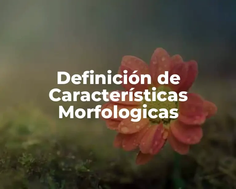 Definición de Características Morfologicas
