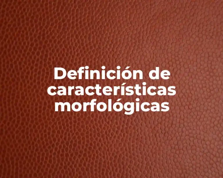 Definición de características morfológicas