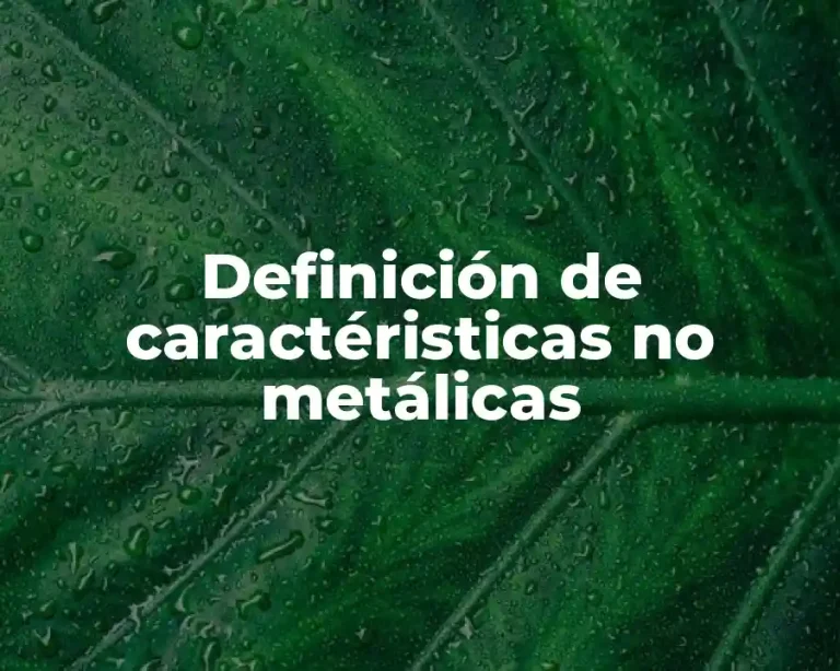 Definición de caractéristicas no metálicas