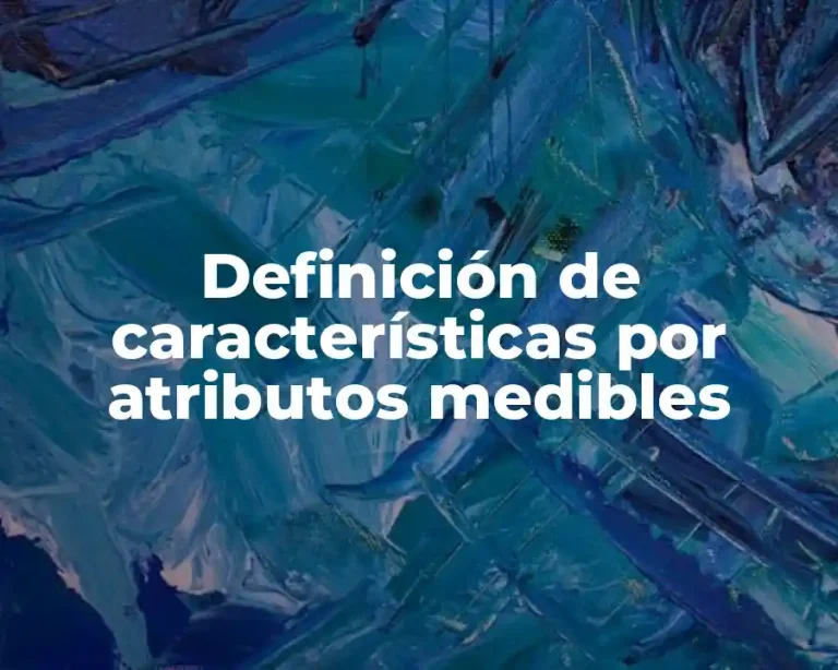 Definición de características por atributos medibles