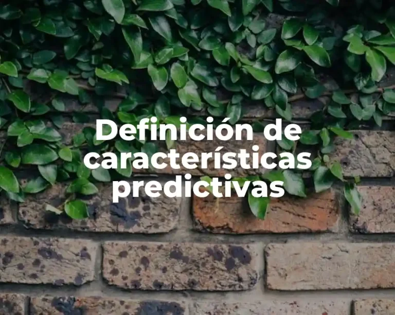 Definición de características predictivas