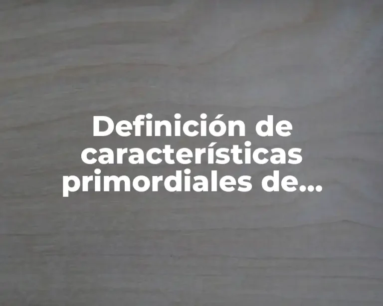 Definición de características primordiales de flexibilidad