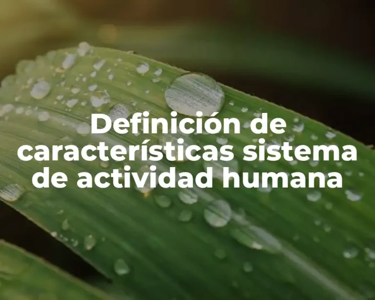 Definición de características sistema de actividad humana