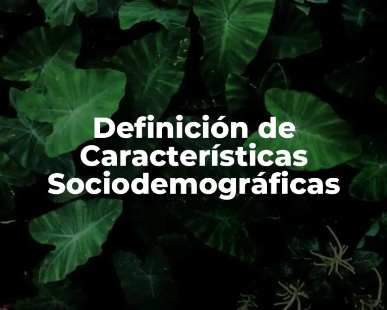Definición de Características Sociodemográficas