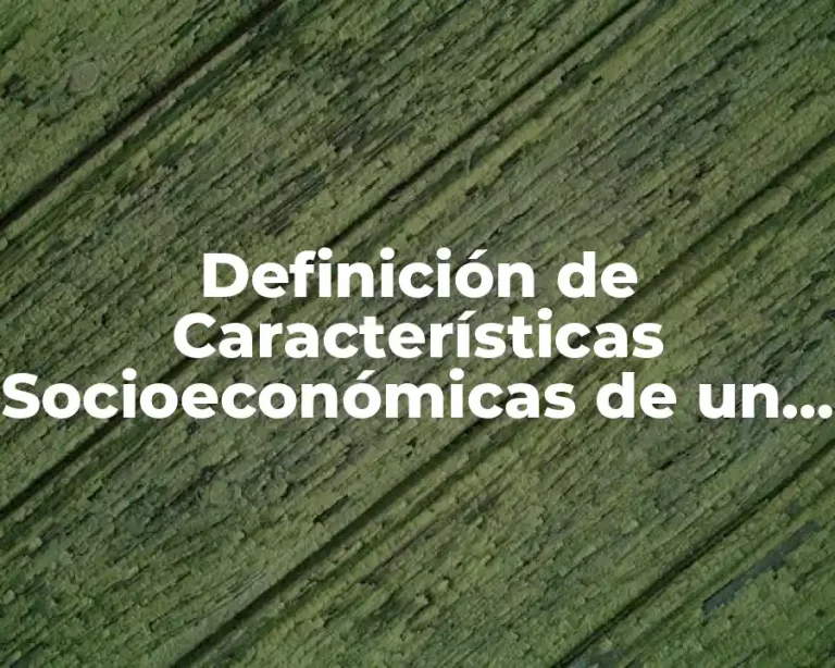 Definición de Características Socioeconómicas de un Lugar