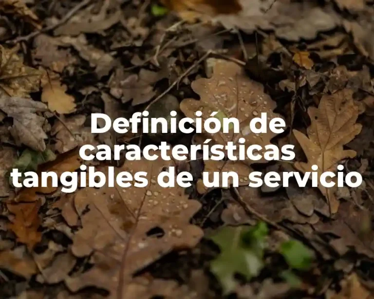 Definición de características tangibles de un servicio