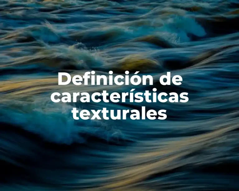 Definición de características texturales