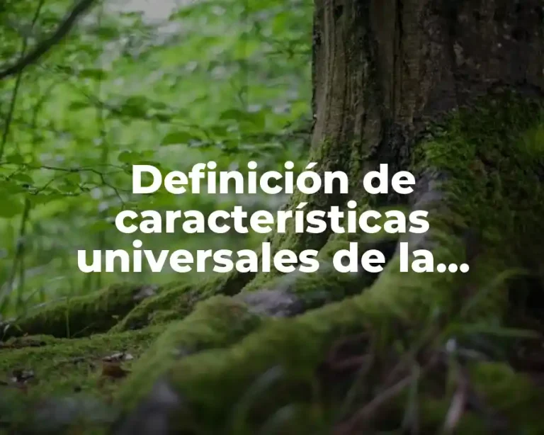Definición de características universales de la cultura
