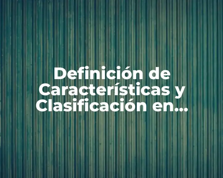 Definición de Características y Clasificación en Contabilidad