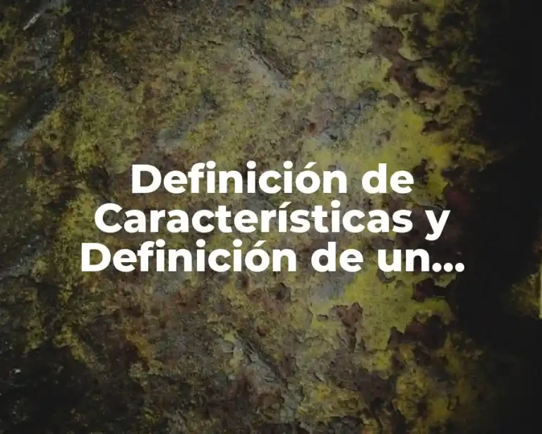Definición de Características y Definición de un Proyecto