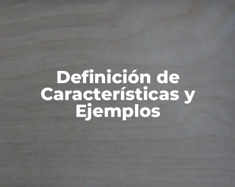 Definición de Características y Ejemplos