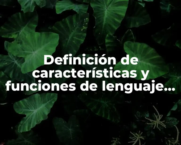 Definición de características y funciones de lenguaje de programación