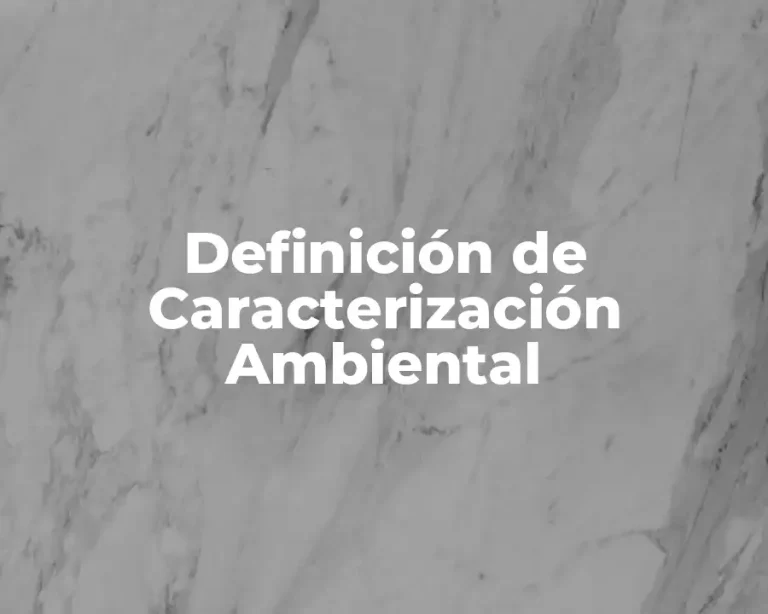 Definición de Caracterización Ambiental