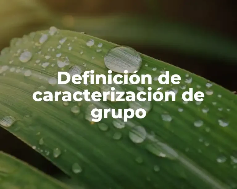 Definición de caracterización de grupo