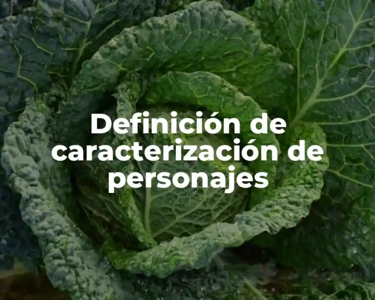 Definición de caracterización de personajes