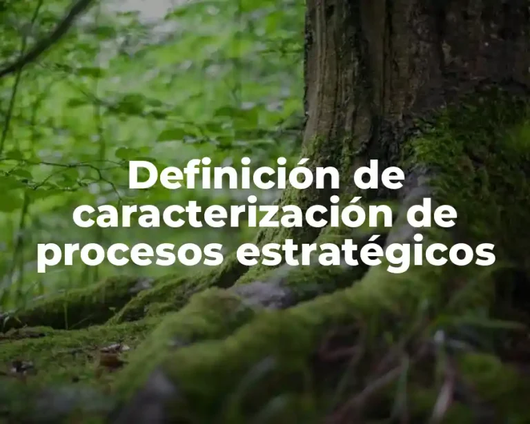 Definición de caracterización de procesos estratégicos