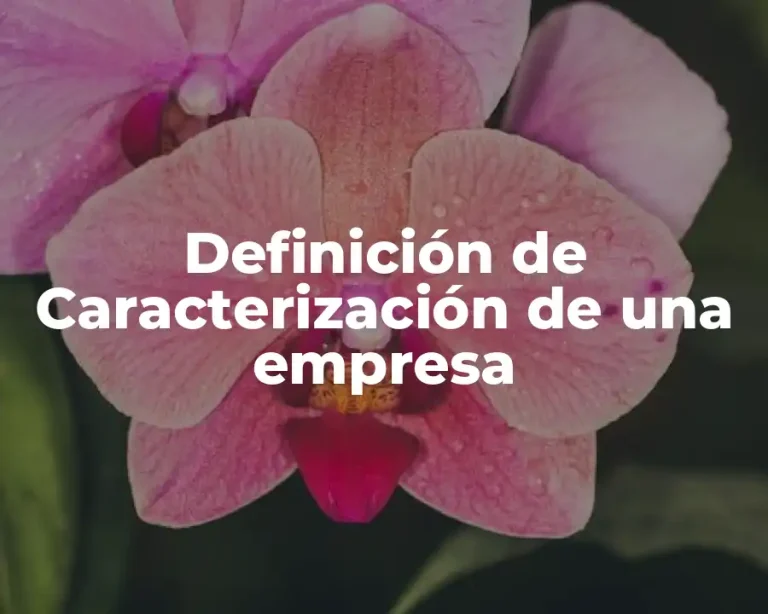Definición de Caracterización de una empresa