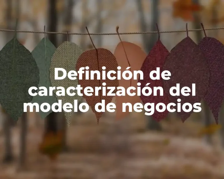 Definición de caracterización del modelo de negocios