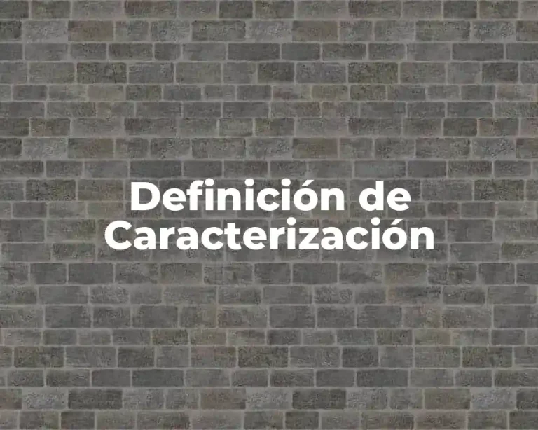 Definición de Caracterización