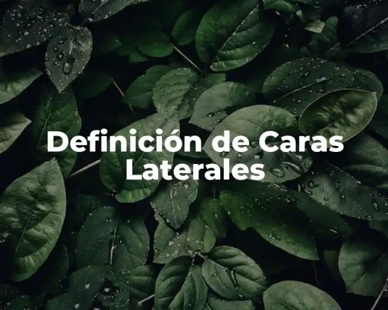 Definición de Caras Laterales