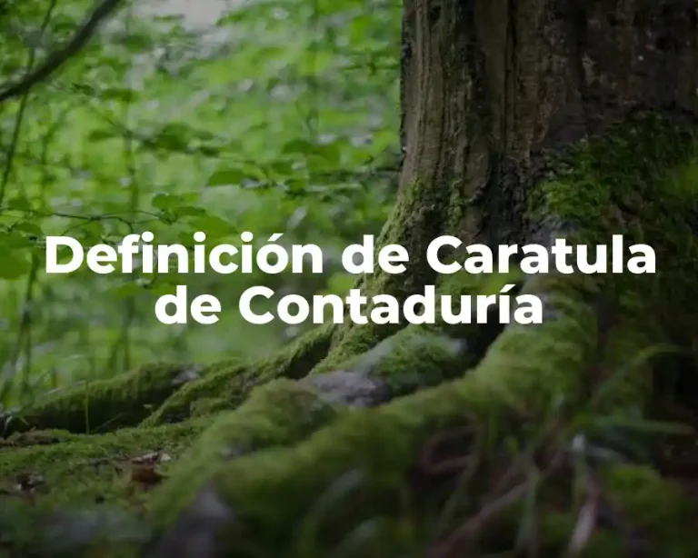 Definición de Caratula de Contaduría