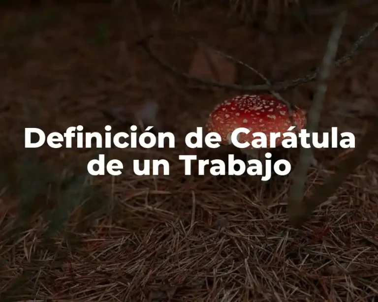 Definición de Carátula de un Trabajo
