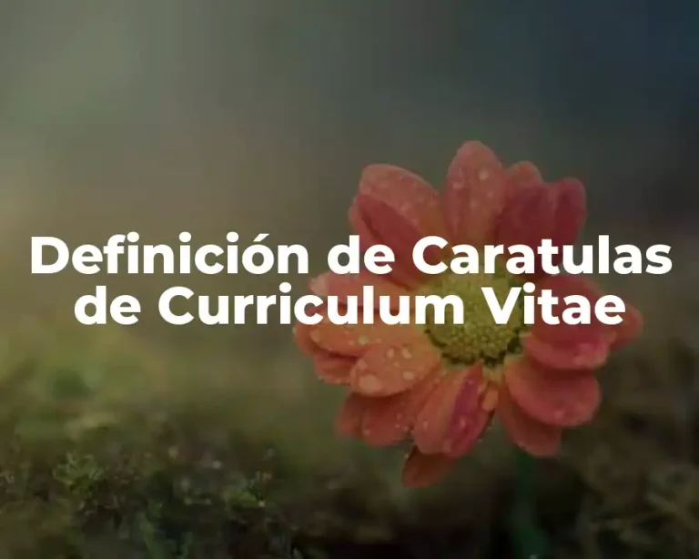 Definición de Caratulas de Curriculum Vitae